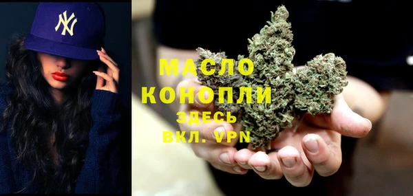 амф Богородицк