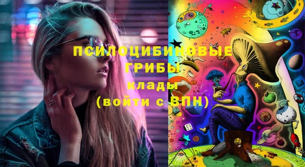 бошки Богородск