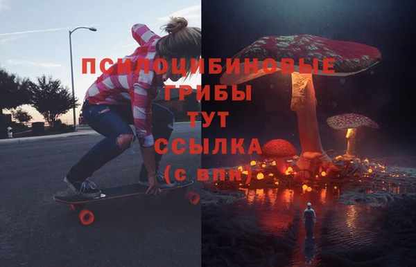 кокаин Богданович