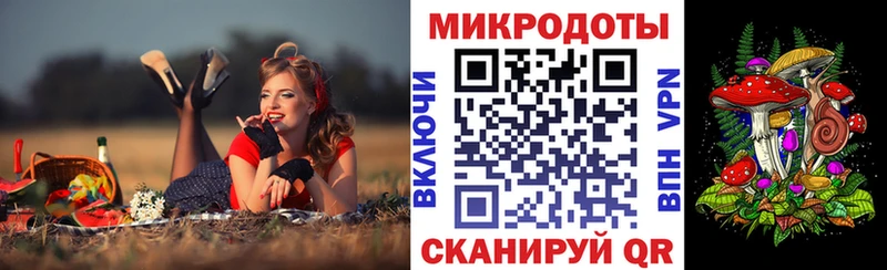 Купить где  Грайворон  Псилоцибиновые грибы ЛСД 